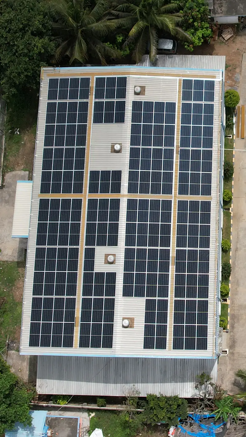 We are the best of renewable energy